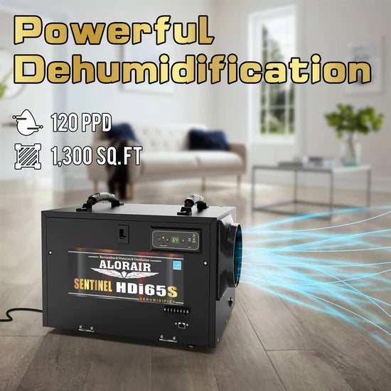 AlorAir 120 PPD Crawl Space Dehumidifiers with Pump and Drain Hose | Sentinel HDi65S (Black) | Size for 1300 sq.ft